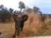 فیلم/ حمله فیل به تصویربردار