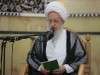 جهان اسلام برای همدردی با مسلمانان نیجریه عزای عمومی اعلام کند