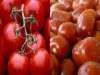 کاهش قیمت سیب‌زمینی و گوجه‌فرنگی
