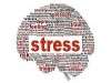 تاثیر استرس بر اضافه وزن /استرس چیست؟
