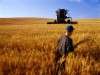 شرایط بازنشستگی کشاورزان با ۱۰ سال سابقه اعلام شد