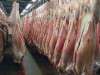 عرضه روزانه ۲ تا ۳ هزار لاشه گوشت گوسفندی در ماه رمضان