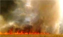 جزئیات جدید از آتش‌سوزی نیروگاه حرارتی تبریز + تصاویر