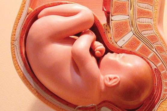 چگونه جنسیت جنین را متوجه شویم + علائم ظاهری در مادر