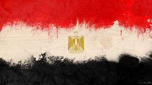 58کشته و زخمی طی درگیری‌های قاهره