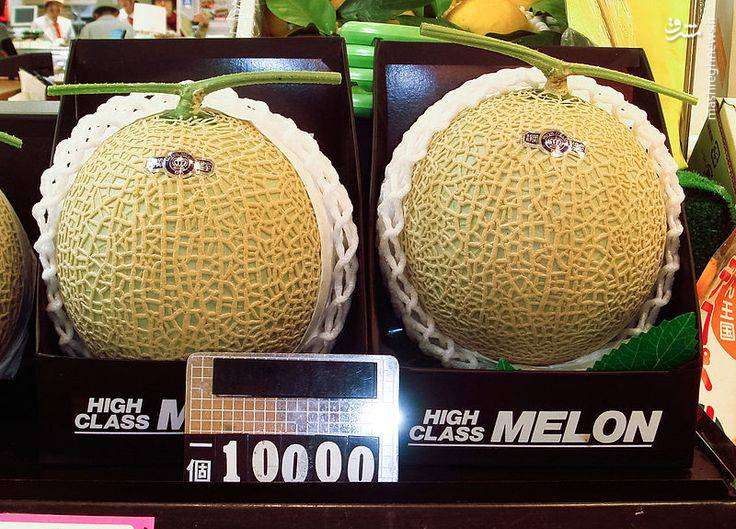 عکس/ گران ترین میوه جهان در ژاپن