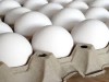 واردات تخم‌مرغ برای تنظیم بازار