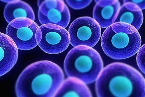 تاثیر سلول های بنیادی در درمان عفونت های ویروسی