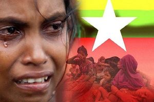 نسل کشی مسلمانان در میانمار برای واشنگتن در اولویت قرار ندارد