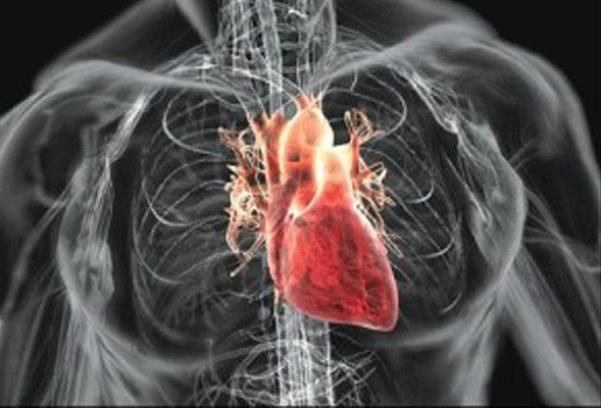 علت ۲۰ تا ۳۰درصد از سکته های مغزی، بیماری‌های قلبی است