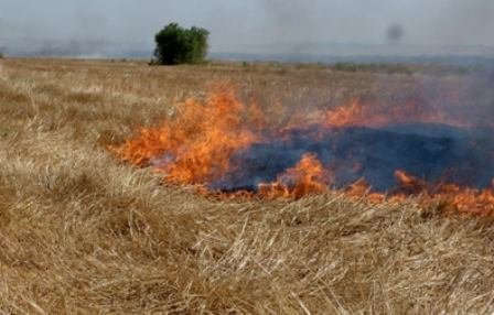 برخورد با آتش‌زن‌های کشاورزی در خرم‌آباد