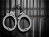 دستگیری ۲۳۰ نفر در دو پارتی شبانه لواسان و فرمانیه