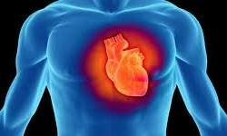 کاهش 40 درصدی خطر ابتلا به بیماری‌های قلبی
