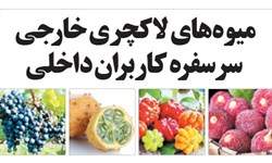 فروش میلیاردی میوه‌های لاکچری خارجی به کاربران ایرانی!