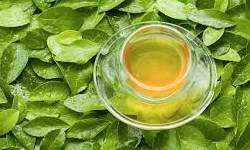 درمان سرطان با «چای سبز»
