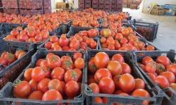 توقیف ۴۹ کامیون حامل گوجه قاچاق در مرز شلمچه