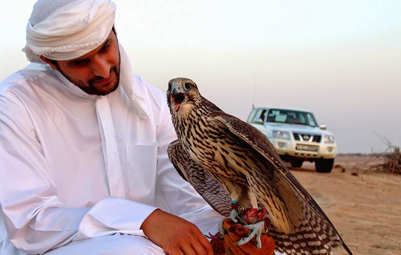 شیوخ عرب در انتظار پرنده‌های قاچاق ایران