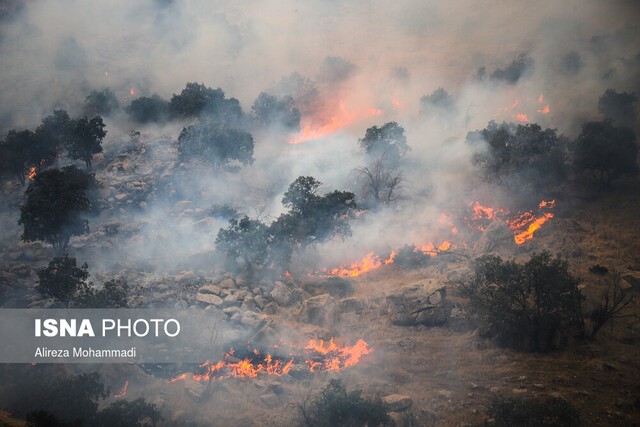 بخشی از آتش‌سوزی جنگل‌ها عمدی و دستی در کار است