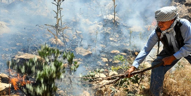 آتش سوزی جان 3 «فعال محیط زیست» را گرفت
