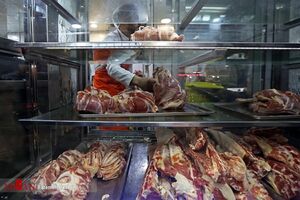 چرایی افزایش قیمت گوشت قرمز