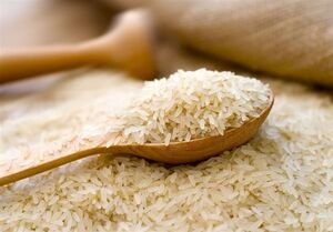 اقشار آسیب‌پذیر قادر به تامین برنج مورد نیاز نیستند