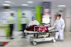 فوت ۳۳۵ بیمار کووید۱۹ در شبانه روز گذشته