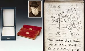 کتاب‌های میلیون دلاری داروین گم شدند! +عکس