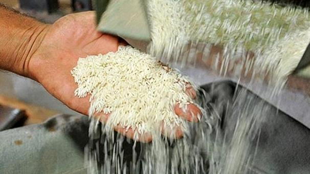 تداوم عرضه برنج خارجی/ کاهش قیمت مرغ با اعتماد به تشکل‌ها