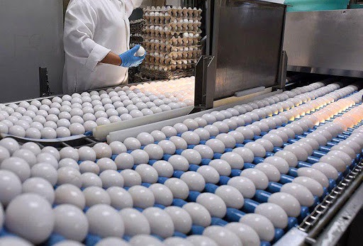 واردات ۹۵ میلیون عدد تخم مرغ نطفه‌دار